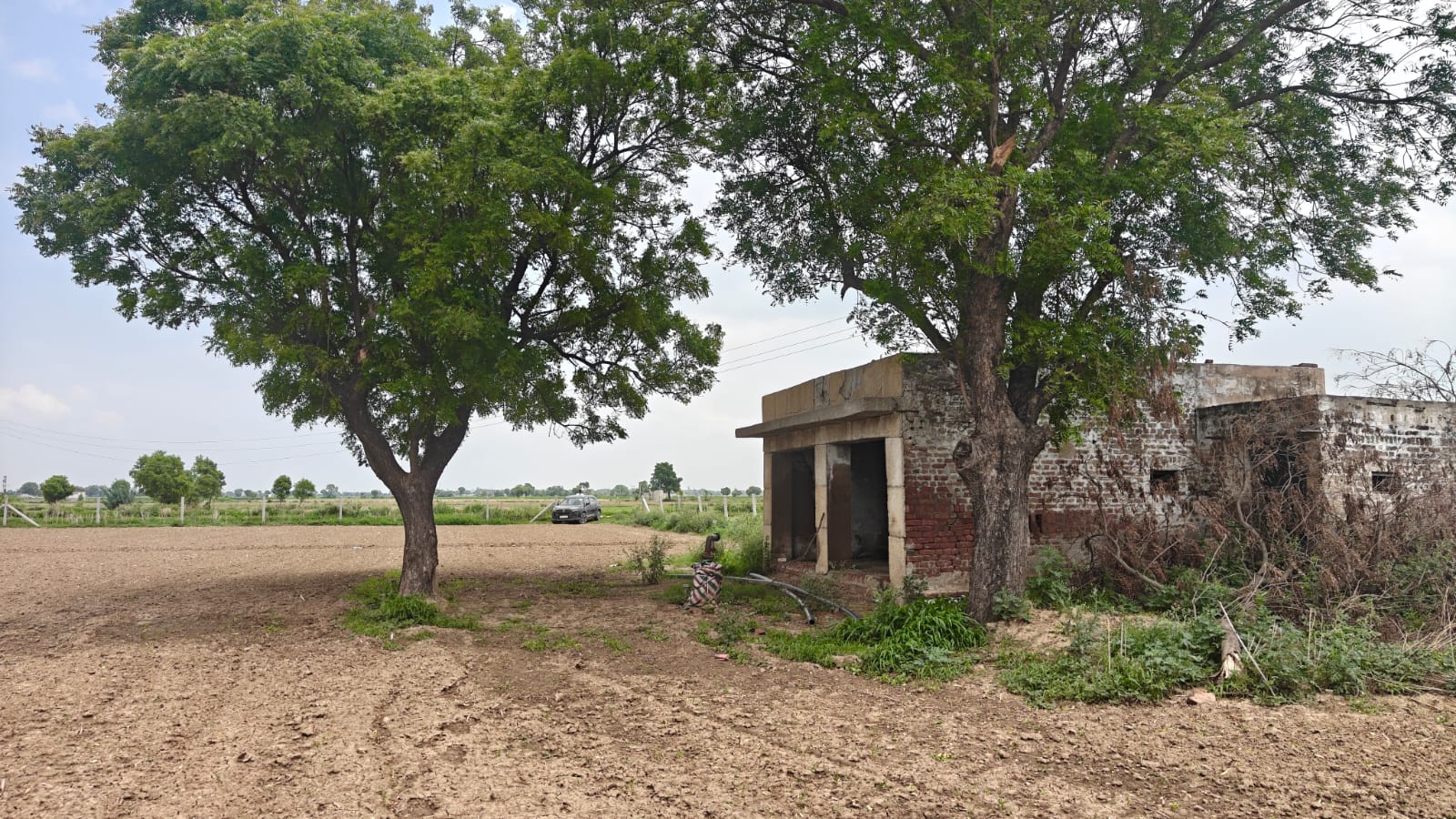 6Acres Agriculture Land For Sale in Gurgaon Near Pataudi Haryana