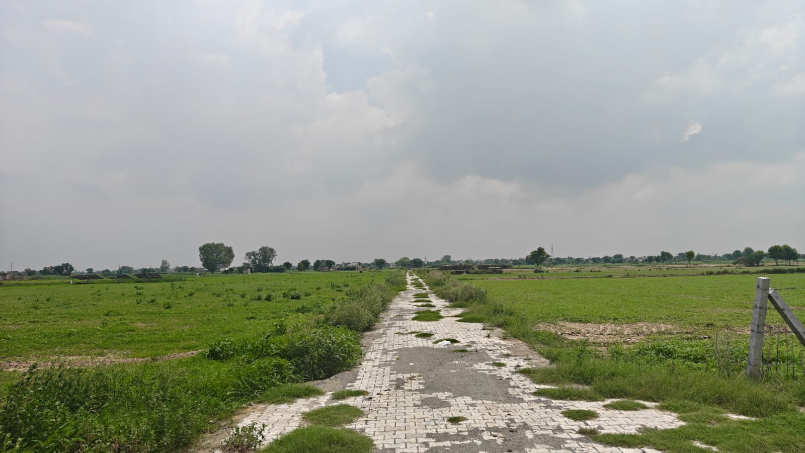 6Acres Agriculture Land For Sale in Gurgaon Near Pataudi Haryana
