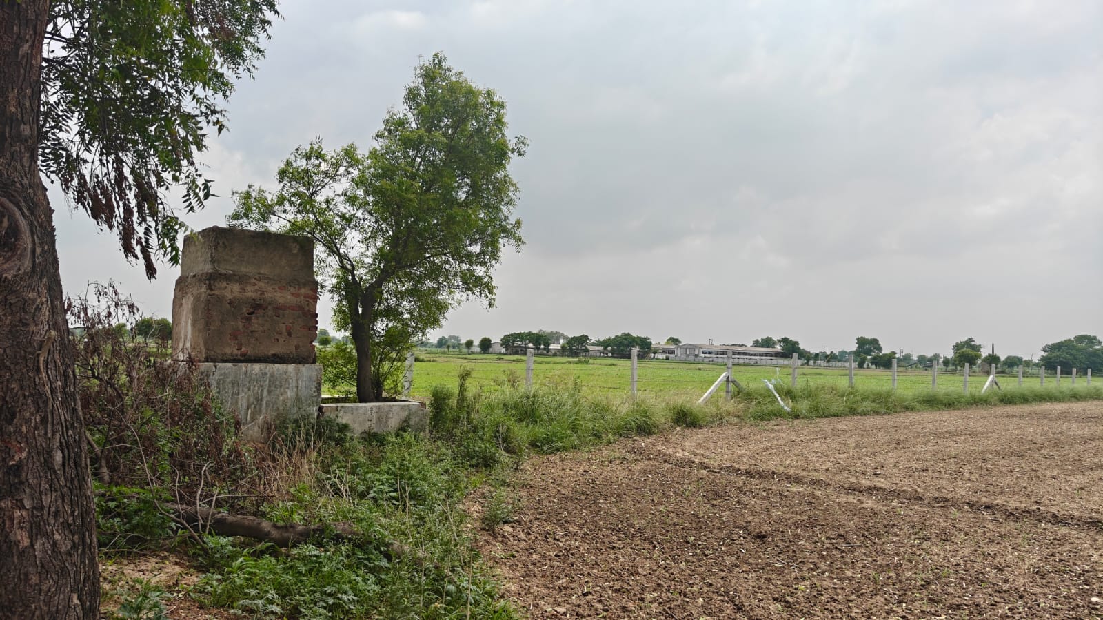 6Acres Agriculture Land For Sale in Gurgaon Near Pataudi Haryana
