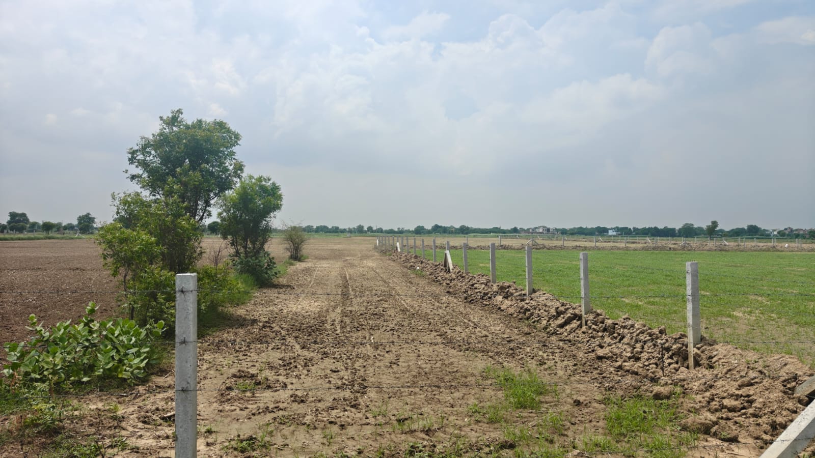 6Acres Agriculture Land For Sale in Gurgaon Near Pataudi Haryana
