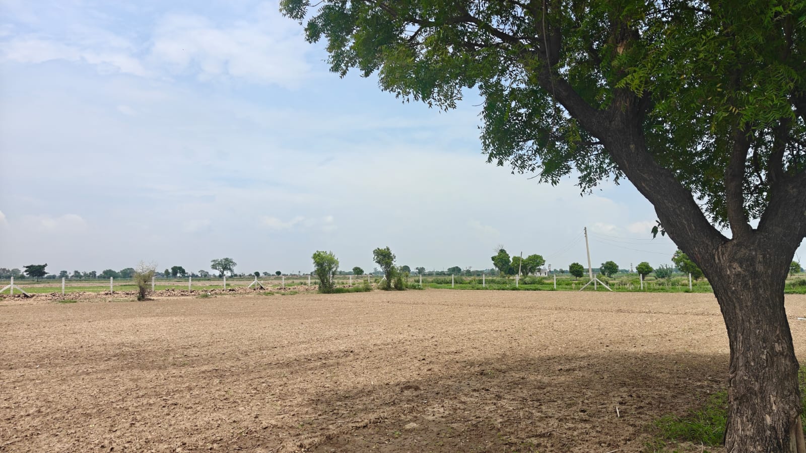 6Acres Agriculture Land For Sale in Gurgaon Near Pataudi Haryana