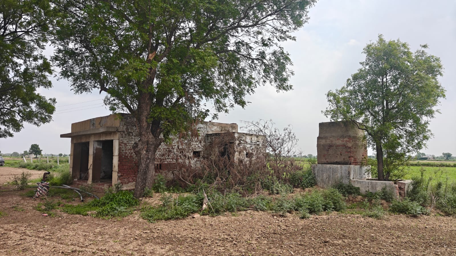 6Acres Agriculture Land For Sale in Gurgaon Near Pataudi Haryana
