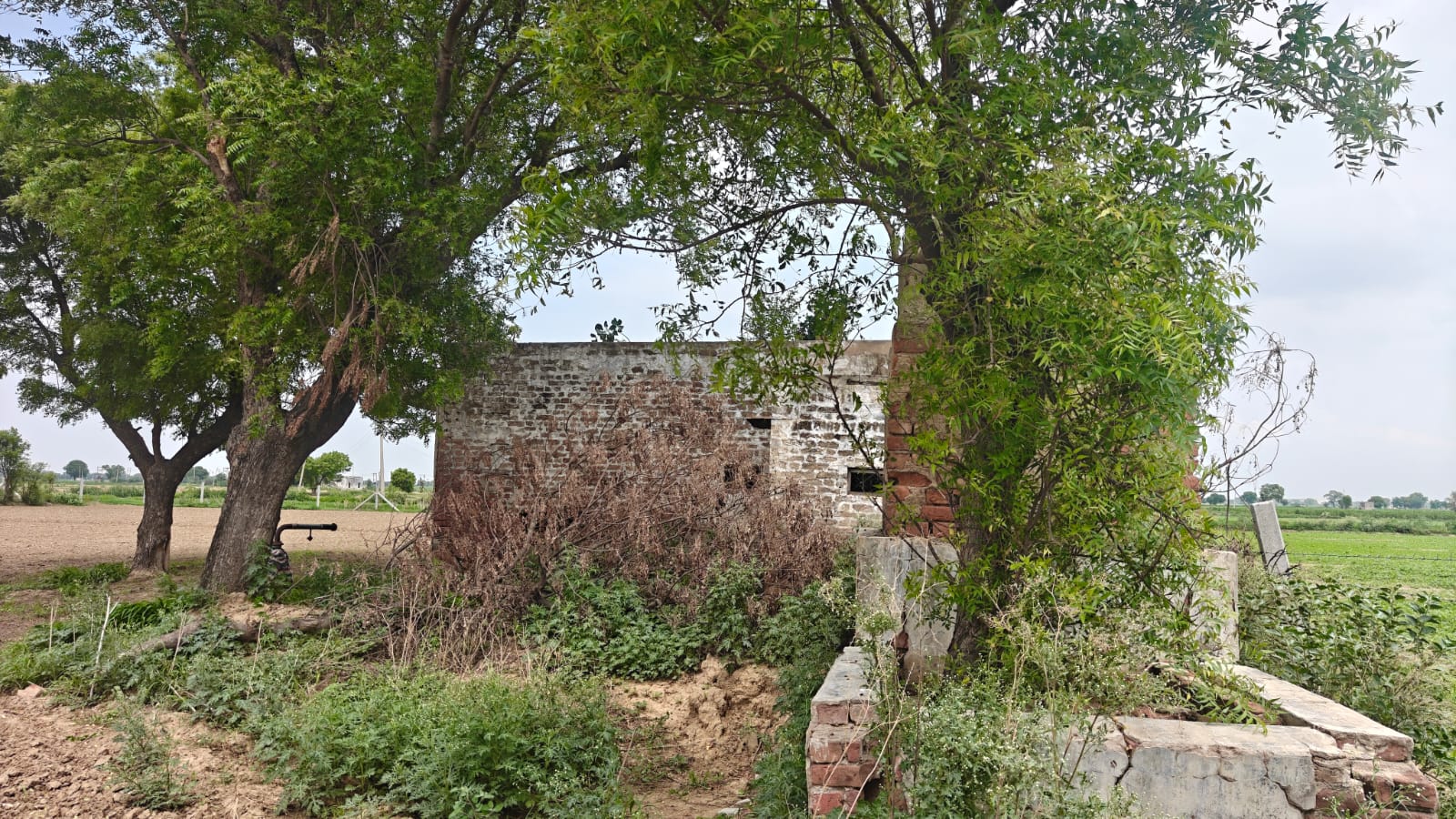 6Acres Agriculture Land For Sale in Gurgaon Near Pataudi Haryana