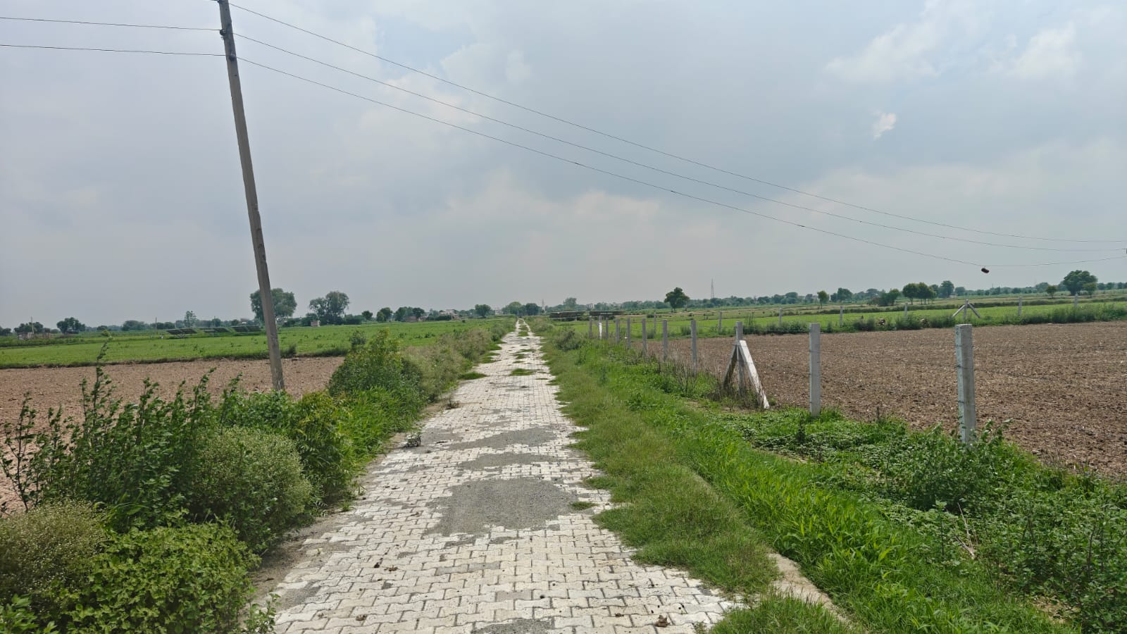 6Acres Agriculture Land For Sale in Gurgaon Near Pataudi Haryana