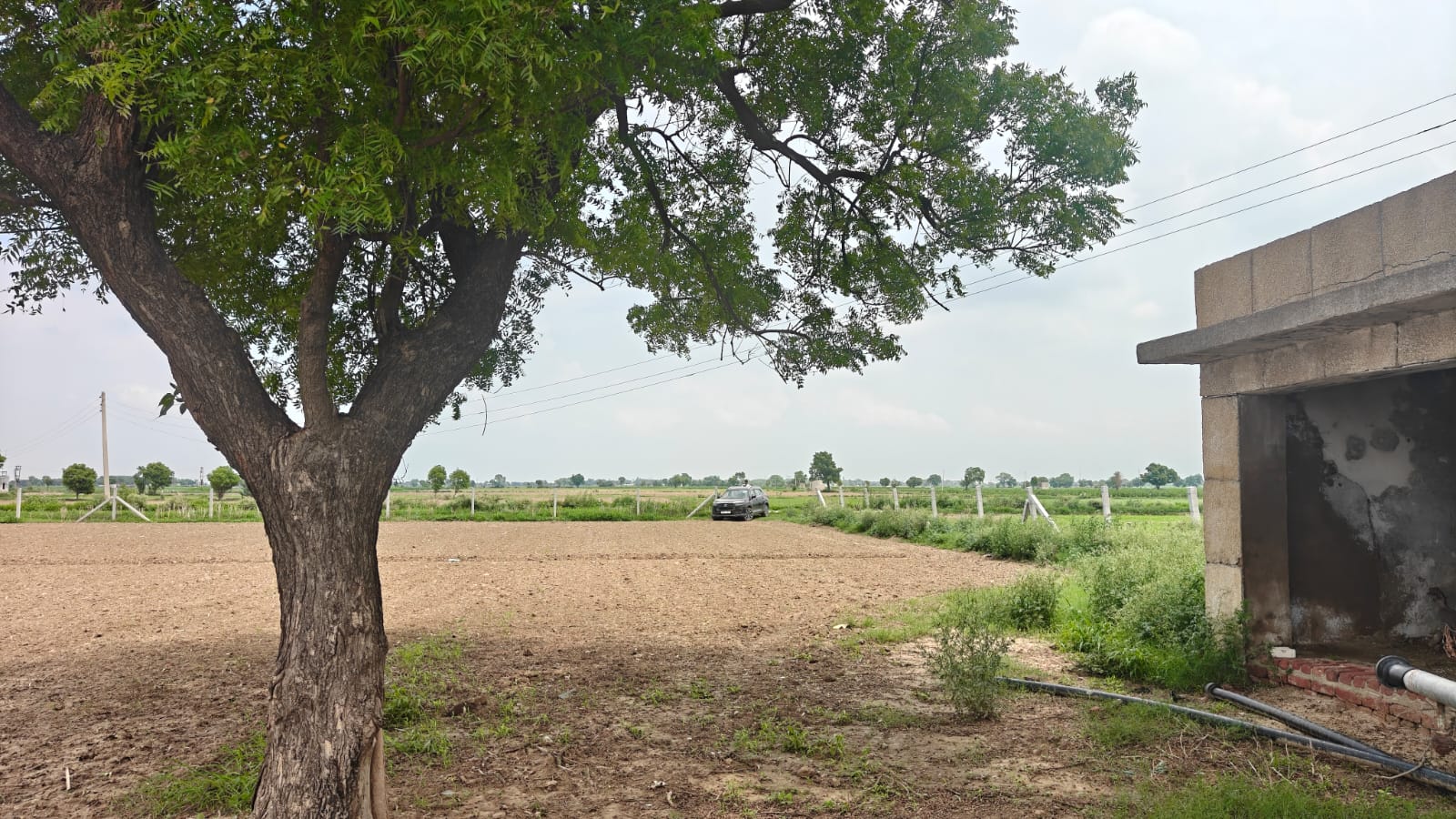 6Acres Agriculture Land For Sale in Gurgaon Near Pataudi Haryana