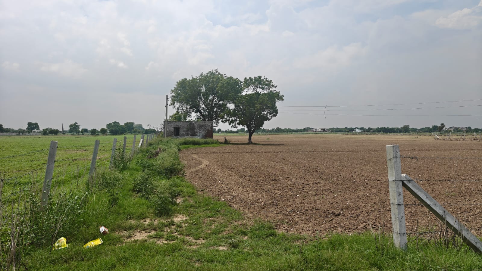 6Acres Agriculture Land For Sale in Gurgaon Near Pataudi Haryana