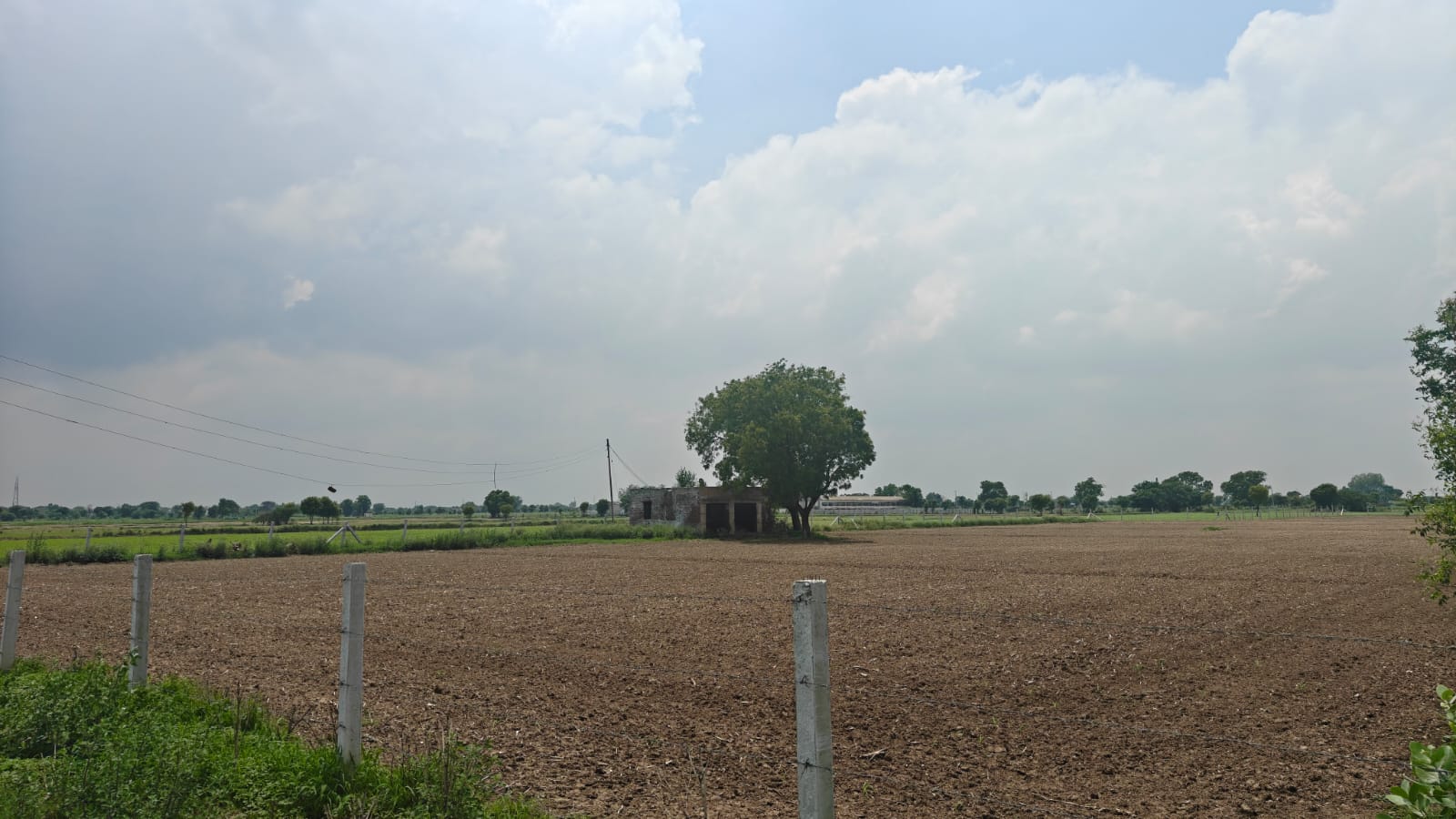 6Acres Agriculture Land For Sale in Gurgaon Near Pataudi Haryana