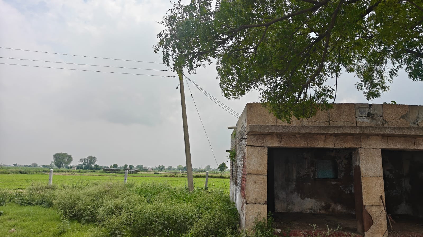 6Acres Agriculture Land For Sale in Gurgaon Near Pataudi Haryana