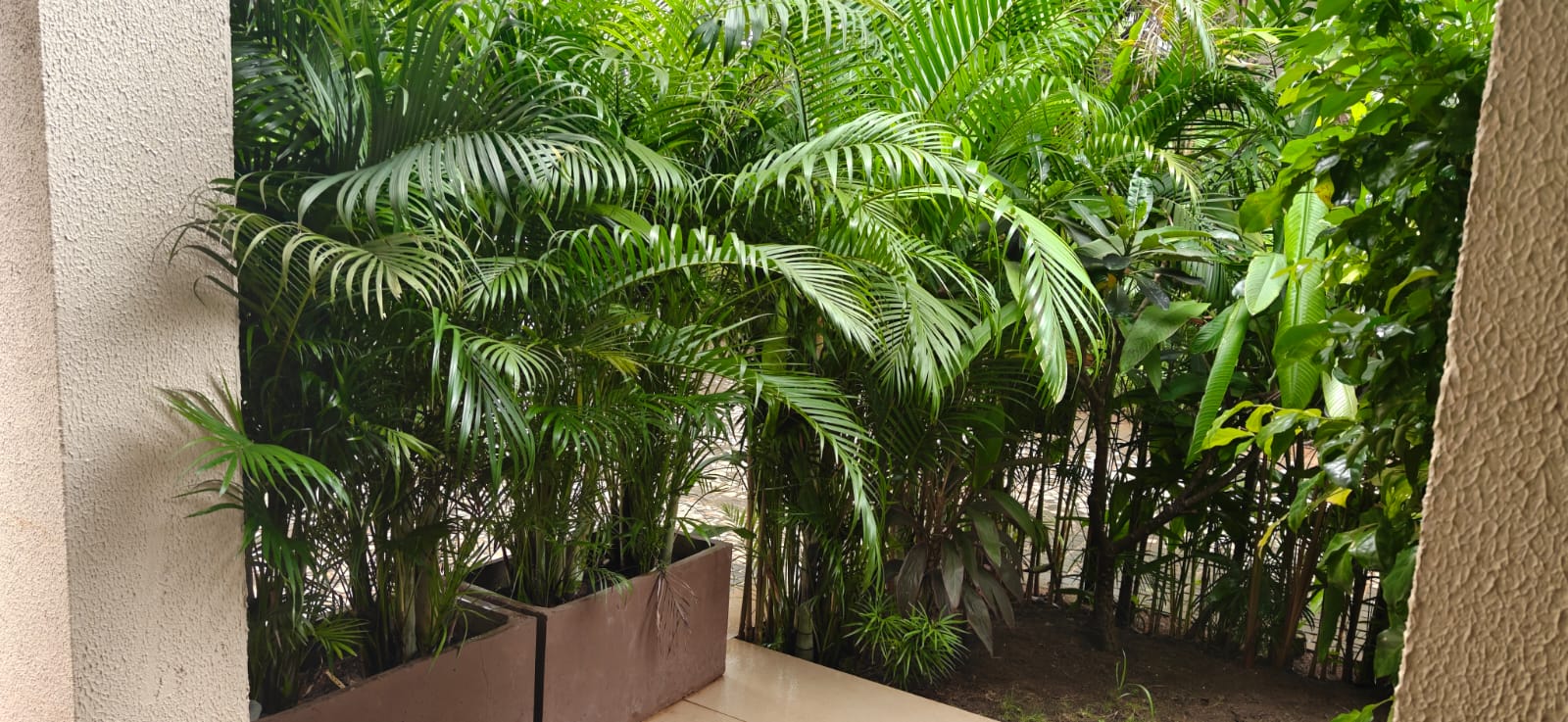Field View Villas with Pvt Pool, Perfect Homes in Guirim Goa (18) Field View Villas with Pvt Pool, Perfect Homes in Guirim Goa